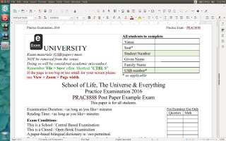 Paper equivalent exam using word processor